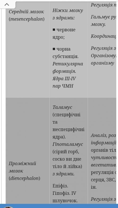 визначте залежність будови окремих структур головного мозку від виконуваних функцій ​