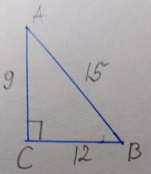 Нарисуй прямоугольный треугольник ABC так, чтобы ∢C =90°, AC= 9 см и CB= 12 см. Вычисли AB= см и на