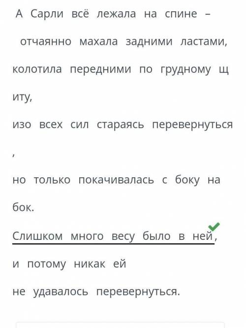 Х Разрушается природа разрушается человек. А. Рийс «Про Сарли, черепаху сБольшого барьерного рифа».