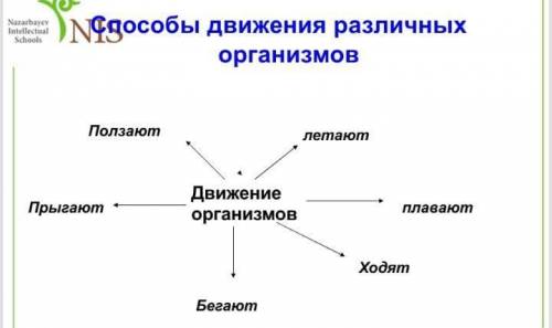 ЭТО СОР, НАДО СДАТЬ В 12:20​