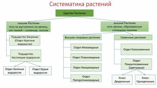 систематика, или классификация растений, растения с низшим строением. биология 6 класс §37 конспект.