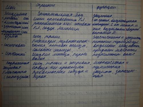 с лабораторкой Лабораторная работа №17 «Изучение под лупой тыльной и ладонной поверхности кожи». Цел