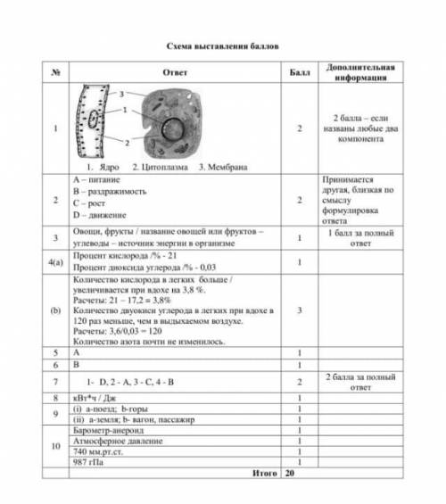 3. Объясните свойства живых организмов (А, В), изображенных на рисунке.​