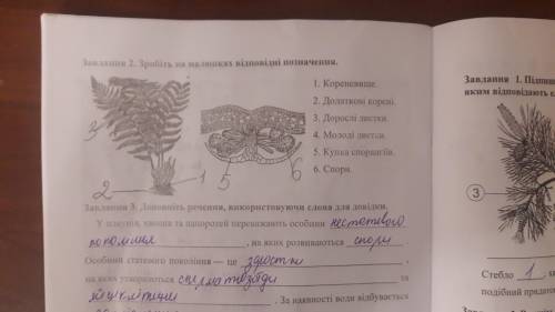 Нестатеве покоління папороті. Нарисуйте рисунок и сделайте надписи , где и что находиться.