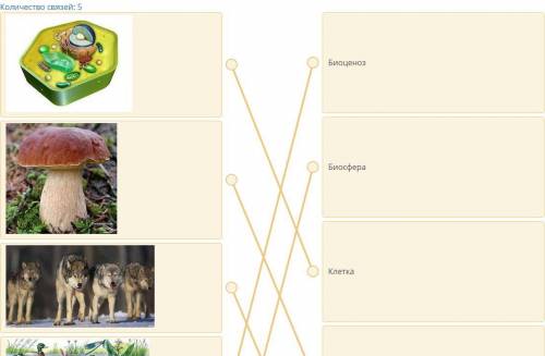 Установите соответствие биоценоз биосфера клетка организм популяция у меня СОЧ