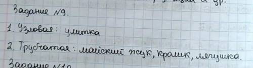 9. Установите соответствие между живыми организмами и типом нервной системы Тип нервной системы:1. У