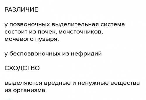 сравните строения выделения системы беспозвоночных и позвоночных животных .(а)Укажите черты сходство