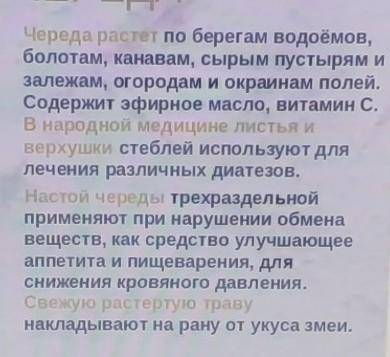 Интересные факты о растении череда