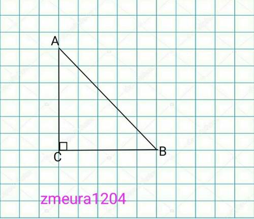 В треугольнике ABC угол с равен 90°, ВС = 3, sinA = 0,3. Найдите AB.