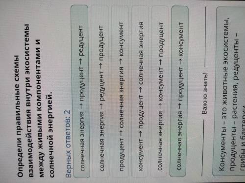 Экосистемы Определи правильные схемы взаимодействия внутри экосистемы между живыми компонентами и со