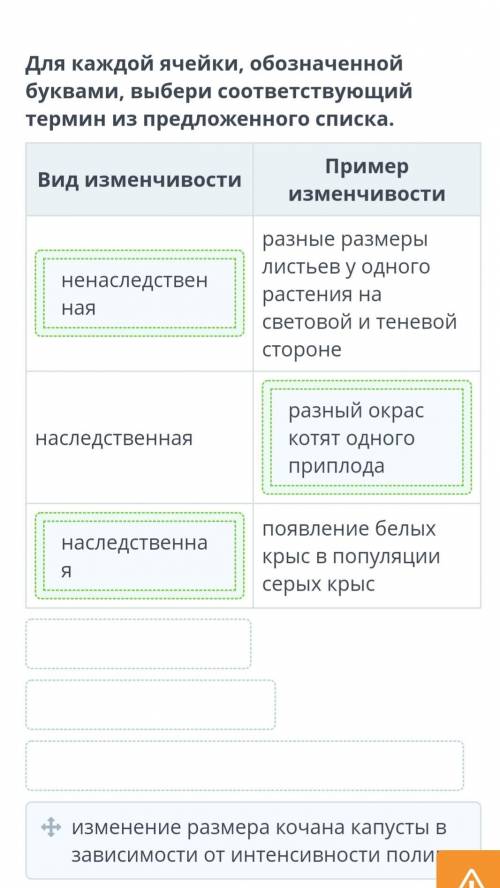 Для каждой ячейки, обозначенной буквами, выбери соответствующий термин из предложенного списка. Вид