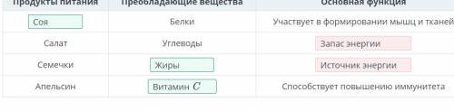 Ученик изучил продукты питания на содержание жиров, белков, витаминов и их значение. Все полученные