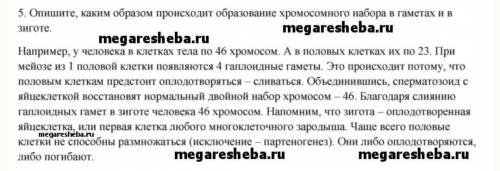 Опишите, каким образом происходит образование хромосомного набора в гаметах и в зиготе. (Очень нужно