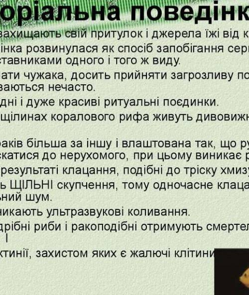 Скласти ментальну карту на тему Територіальна поведінка