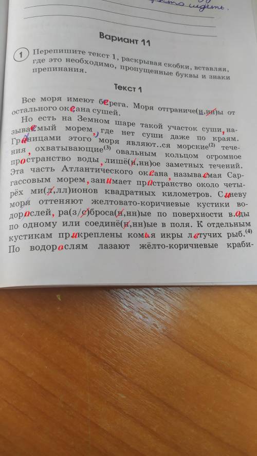 Напишите текст, раскрывая скобки, вставляя, где это необходимо, пропущенные буквы и знаки препинания