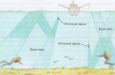 Через що надходять звуки у воді​