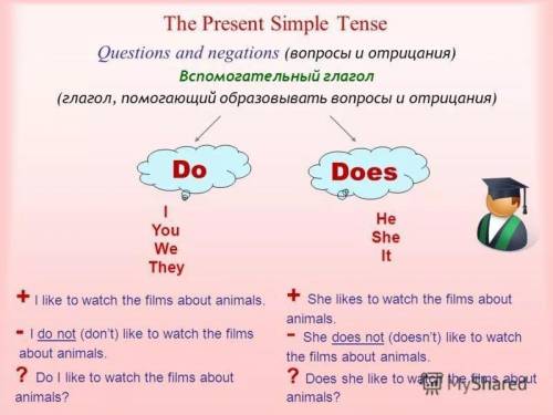 DON'T: I, YOU, WE, THEY DOESN'T: HE, SHE, IT c) Choose the correct answer (Negative sentences)1. My