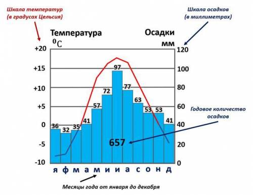 , дать характеристику температуры и осадков за год ​