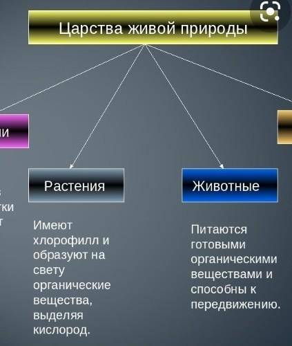 Конспект по биологии 5-6 класс В. В. Пасечник 22 параграф характеристика царства животные