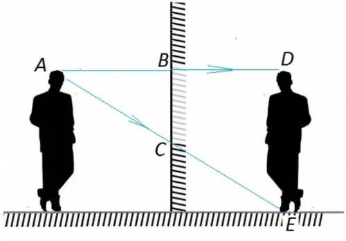Доказать, что для получения изображения человека во весь рост в плоском зеркале высота зеркала должн
