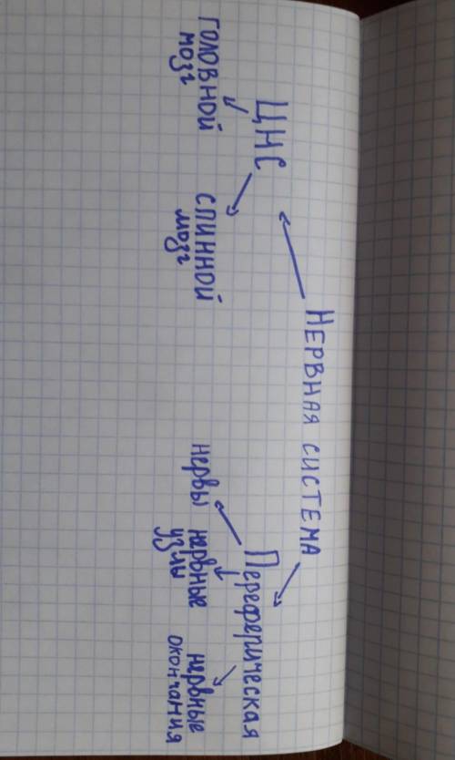 сделать дз по биологии