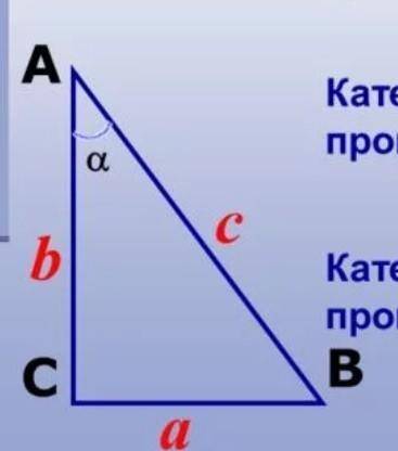 В треугольнике ABC с прямым углом С, внешний угол при вершине А равен 120°. Найдите AB и AC, если из