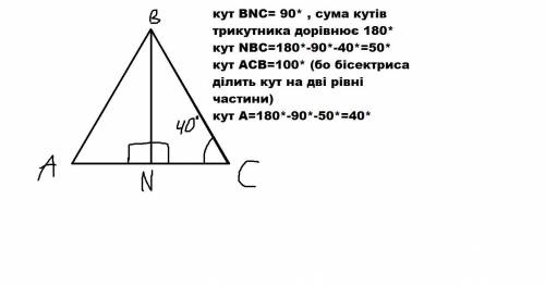 Трикутник АВС BN-бісектриса кут С-40 градусів знайдіть кут А