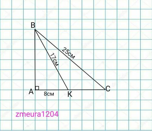 На катеті АС прямокутного трикутника АВС (∠А=90°) позначено точку К. Знайдіть площу трикутника КВС,