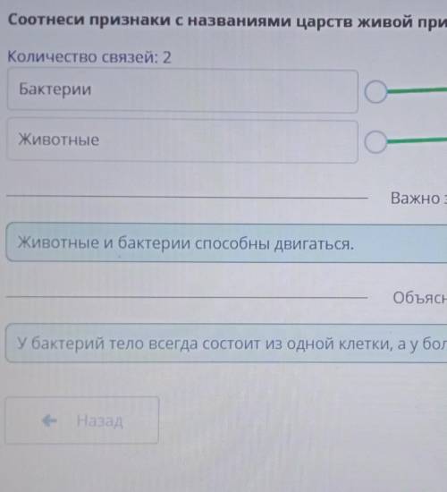 Соотнесите признаки с названием царства живой природы количество связей два бактерии животных всегда