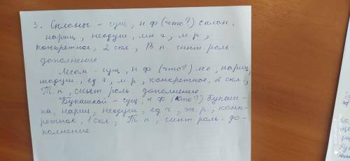 Упражнения 527. Прочитайте текст. На Тянь-Шане Выполните задания: 1. Запишите примеры имен существ