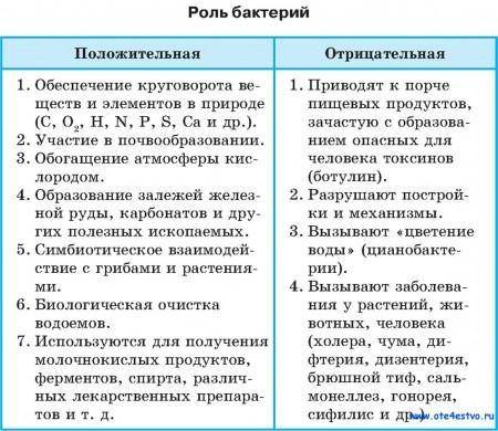 роль бактерий в жизни человека . Прложительные: Отрицвткльные : заполните таблицу очень ​