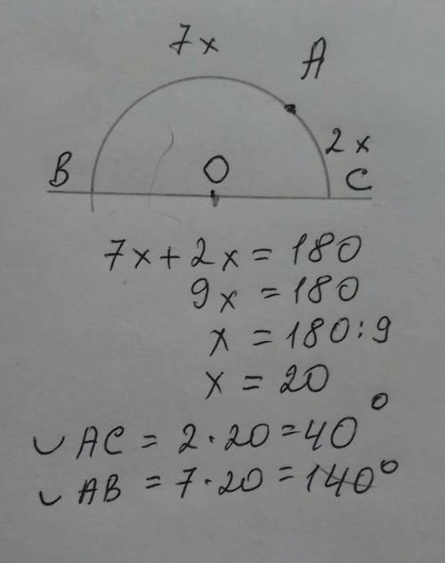 очень нужна полуокружность делиться точкой А на две дуги в отношении 2:7 Найдите градусную меру кажд