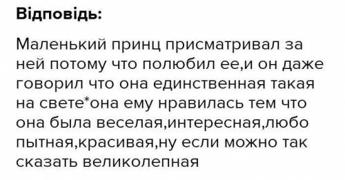 Причина сварки Маленького принца та квітки ​