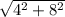 \sqrt{4^{2} + 8^{2} }