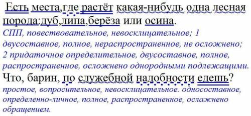 Выполнить синтаксический разбор предложений. 1. Есть места,где растёт какая-нибудь одна лесная пород