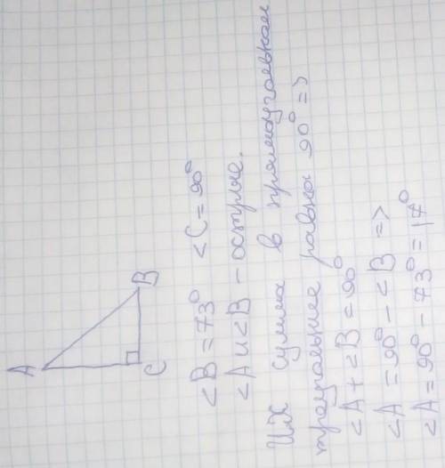 Дан прямоугольный треугольник, величина одного острого угла которого составляет 73°. Определи величи