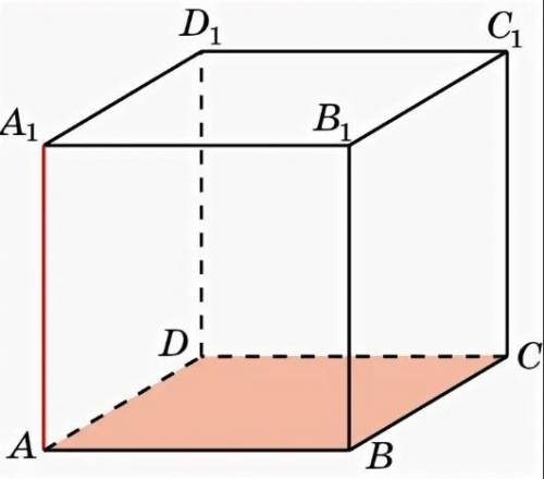 Дан куб ABCDA1B1C1D1 определите: 1) Расстояние от точки B1 до плоскости ABC 2) Расположение прямых A