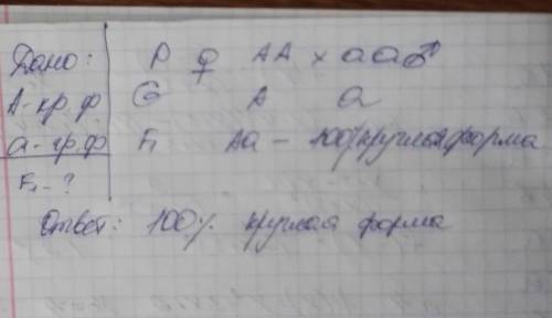 Задача на I закон Г. Менделя У помидоров круглая форма плода доминирует над грушевидной. Какиеплоды