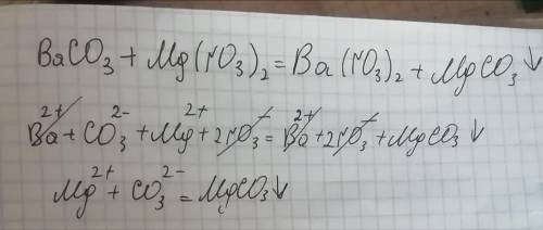 Для выполнения задания используйте след перечень; хлор, карбонат бария, нитрат магния, гидроксид нат