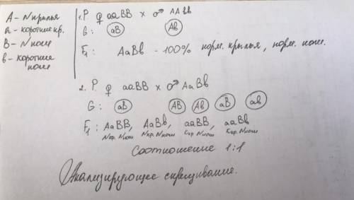 Гены длины ног и длины крыльев находятся у дрозофилы в одной хромосоме. Скрещивали самку дрозофилы с