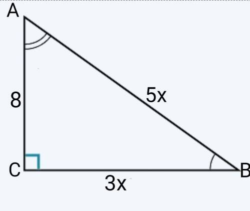 У ∆ АВС √С= 90° ,АС= 8см , sin A = знайдіть довжину гіпотенузи трикутника​