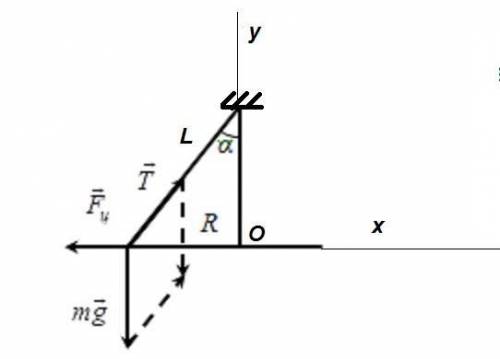 Тело массой 50 г, подвешенное на нити длиной 30 см вращается в горизонтальной плоскости по окружност