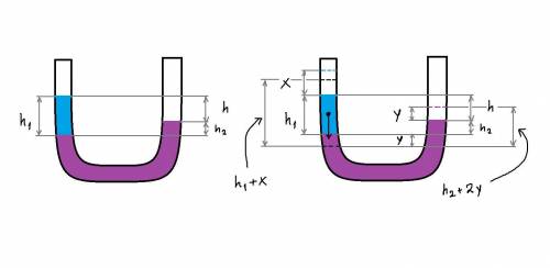 В одно из колен U-образной трубки постоянного сечения, частично заполненной ртутью, долили слой боле
