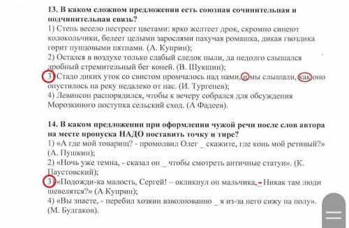 В каком сложном предложении есть союзная сочинительная и подчинительная связь!?