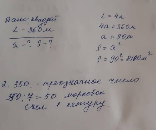 1.Чтобы кенгуру не повредили посевов, австралийский фермер обнёс участок огорода квадратной формы ог