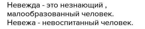 Что я влюблен, в том греха не вижу. Об этом со невеждой я слов даром не теряю. Ведь любовь мед лечит