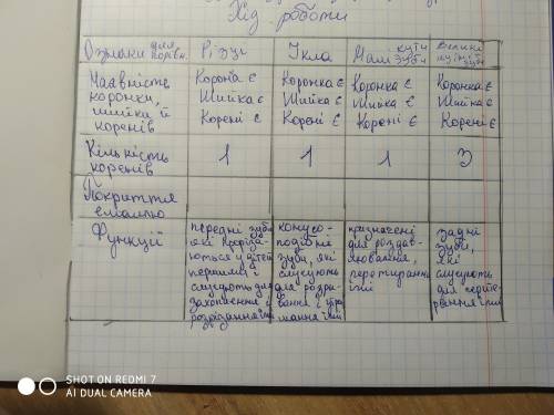 Будова та функції зубів Ікла,Різці,Малі кутні зуби,Великі кутні зуби .Ознака для порівняння : Наявні