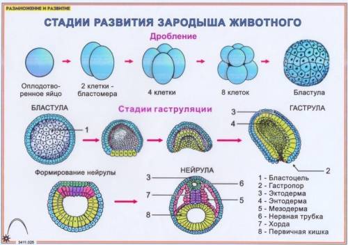 Очень надо и как можно быстрее!