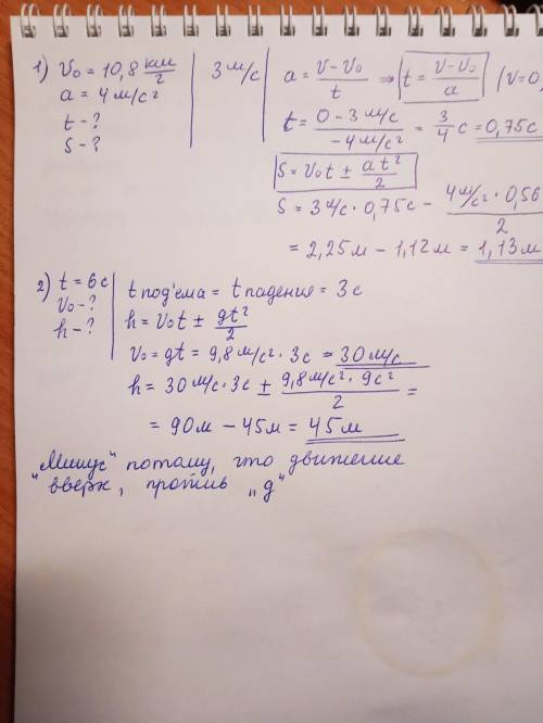 1. Мышь бежит со скоростью 10,8 км/ч и потом начинает замедляться с ускорением 4 м/с2. Задания: Скол