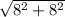 \sqrt{8^2+8^2}